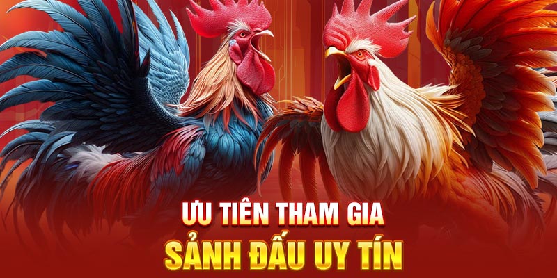 Ưu tiên tham gia sảnh đấu uy tín